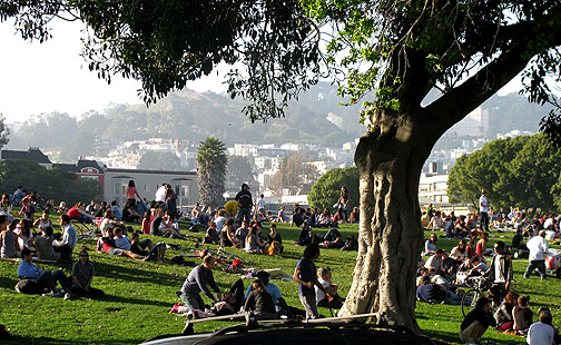 Dolores Park, January 17 09, wintery light, summery air, just north of 19th Street.