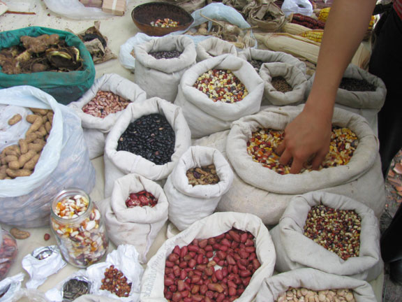A Free Seed exchange at the Peace Camp.