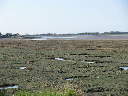 Wetlands at low tide on the River Lune, Glasson town in distance.