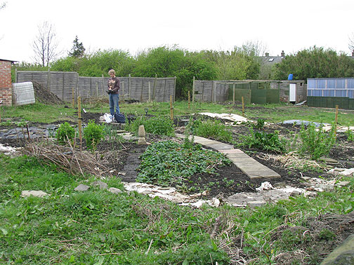 Jonathan in the allotment (community garden) in Bradford.