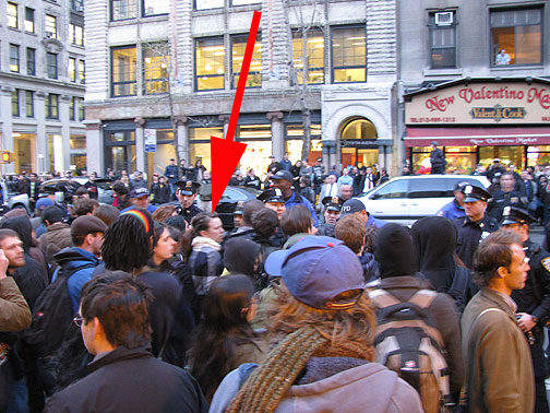 Here's Francesca in a scuffle on 5th Avenue, but she avoided arrest this time!