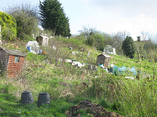 Royate Hill Allotments.