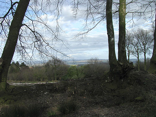 View from the ridgetop back towards Exeter.