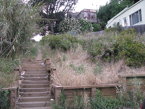 One of many "ghost streets" on Bernal Heights, this one with some old wooden steps inviting the walker to enter.