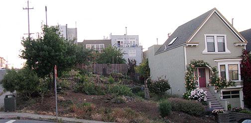 This plot of land has been dedicated by its owner to a Permaculture garden, 18th and Rhode Island.