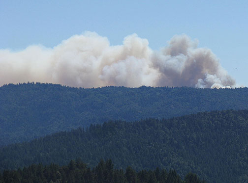 The "Lockheed" forest fire in the Santa Cruz Mountains, Aug. 14, 2009.