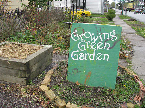 There are over 80 community gardens in Buffalo.