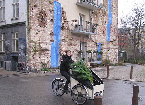 A typical Danish Christiania bike passes by a permacultural rain catchment installation (in blue) on coop apartment building behind.