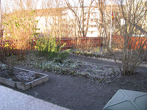 The gardens are pretty frozen now anyway!