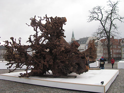 A dozen massive hardwood stumps were brought from West Africa and installed as a Climate Change art exhibition in one of the city's main plazas.