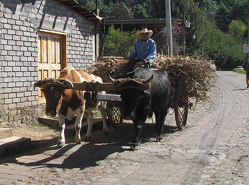 Oxcart on hand-paved road between Zirahuen and Santa Clara del Cobre.