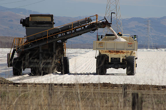 Industrial salt harvesting, owned by Cargill or Morton Salt, still going strong, but maybe not for long...