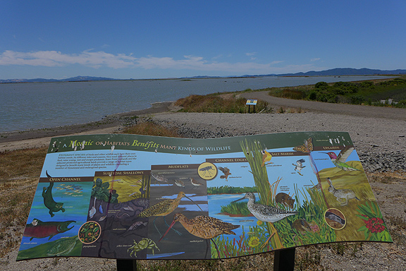 Helpful signs to alert uninformed visitors to the natural inhabitants of this shoreline zone.