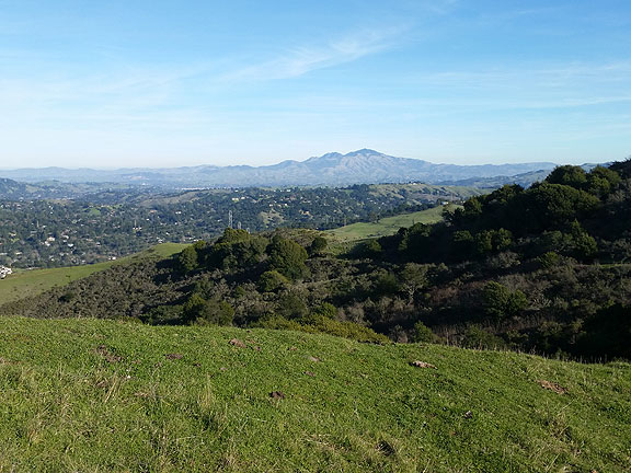 The view of Mt. Diablo from the top of the Sibley Volcano just southeast of the Caldecott Tunnel in the east bay hills.